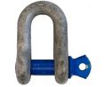 Shackle, D, Screw Pin, 1t, Alloy Steel